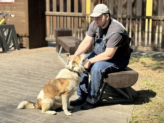 Мобильная ветеринарная станция приедет в Озёры