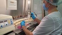 В Коломенской областной больнице действует своя бактериологическая лаборатория