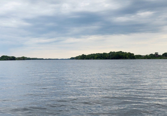 В Луховицах ловили пьяного угонщика лодки