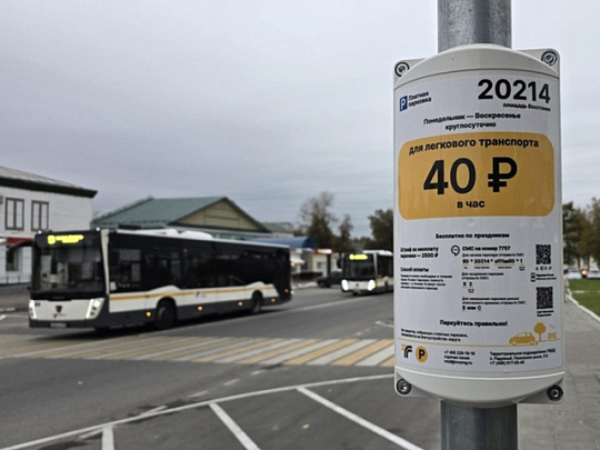 В Голутвине возле вокзалов начала работать платная парковка