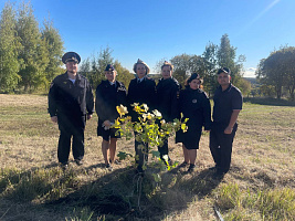 В Коломне полицейские присоединились к акции &quot;Лес Победы&quot;
