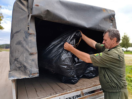 В Луховицах участники субботника очистили более 5 км береговой линии