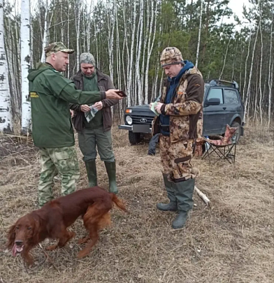 В Подмосковье начался сезон охоты на взрослых самцов-лосей