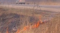 На прошлой неделе пожарные тушили траву 16 раз (ФОТО)