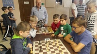 Шахматисты показали свое мастерство