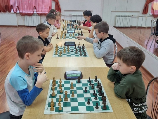 Юные шахматисты Подмосковья сразились на турнире в Луховицах