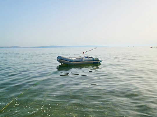 Мужчина попал под винт лодочного мотора в Коломне