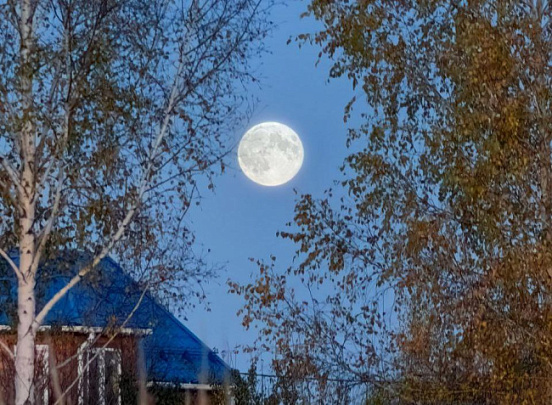 Жители Подмосковья увидят лунное затмение