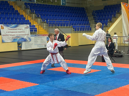 Открытый Кубок &quot;Виктории&quot; и Первенство округа по ВБЕ 