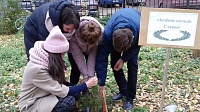 В Коломне прошла экологическая акция "Зеленое кольцо славы"
