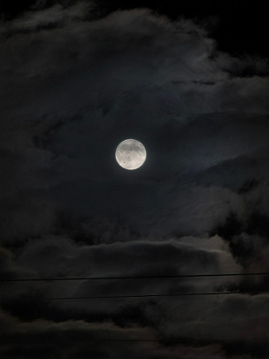 Жители Подмосковья скоро смогут увидеть последнее в этом году суперлуние