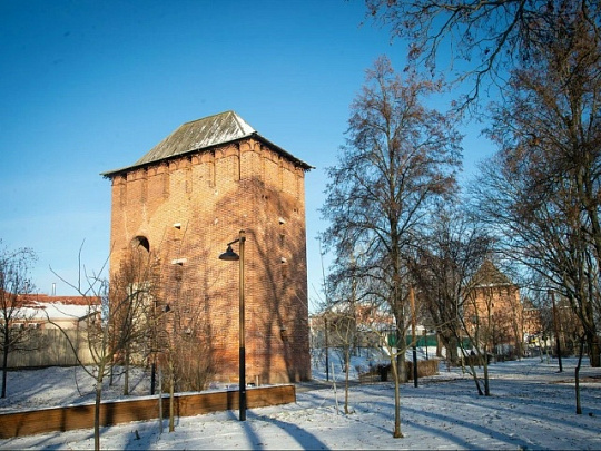 Словарь местных слов выпустят в Коломне