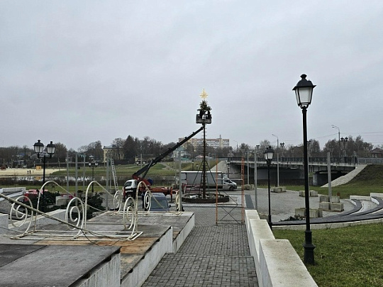 Шатровую ель поставят на Михайловской набережной Коломны