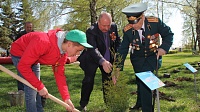 В Луховицах посадили деревья в честь ветеранов (ФОТО)