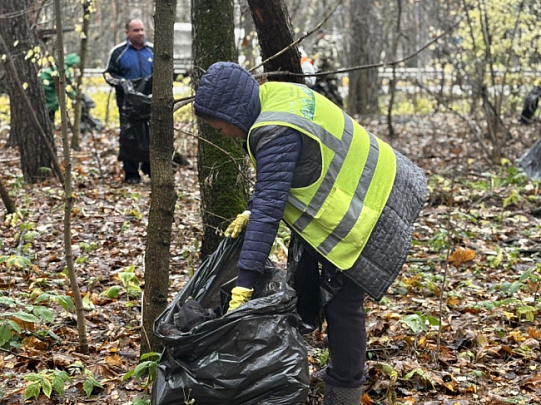 В Воскресенске прошла экологическая акция "Чистое Подмосковье"