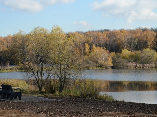 Продолжается голосование по очистке водоёмов городского округа Коломна