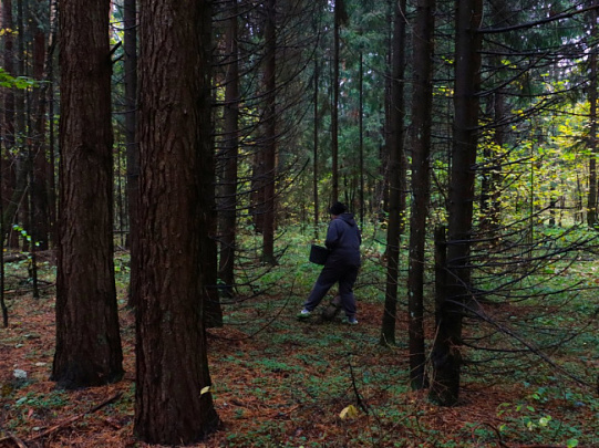Воскресенские спасатели вывели заблудившегося мужчину из леса