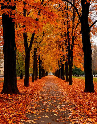 Культурные семейные впечатления в усадьбе Кривякино