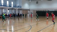 В Луховицах прошли соревнования по мини-футболу