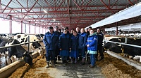 Андрей Воробьёв проверил работу молочной фермы в Озёрах