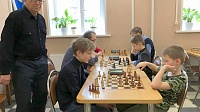 Первенство определило сильнейших шахматистов