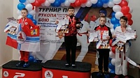 Егорьевские спортсмены оказались на высоте