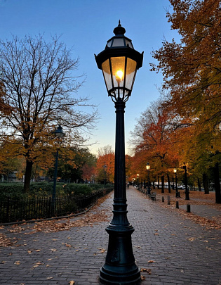 Сквер "Сокольники" оборудуют новым освещением