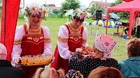 В Дмитровцах отметили День села