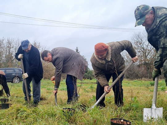В Луховицах заложили &quot;Аллею отцов&quot;