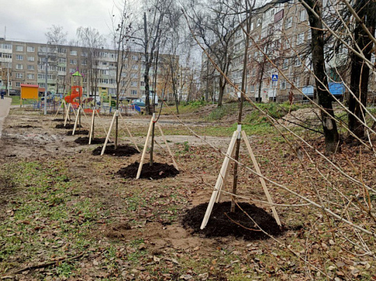 В Егорьевске посадили около 200 новых деревьев