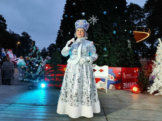 В Озёрах состоялось открытие главной ёлки