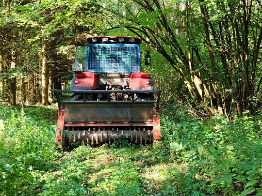 В городском округе Коломна продолжается благоустройство дендропарка
