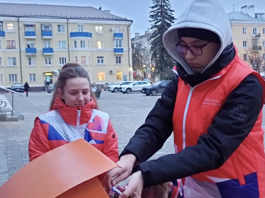 Ответственный сбор батареек организовали волонтёры в Воскресенске
