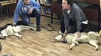 "Зоркие сердца" учат детей понимать собак