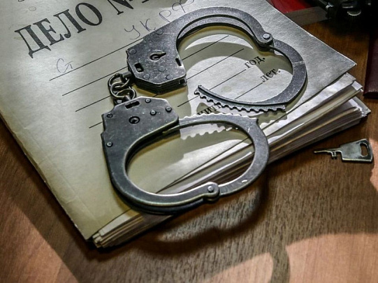 Суд вынесет приговор по делу о несообщении о готовящемся нападении на гимназию №10 в Егорьевске