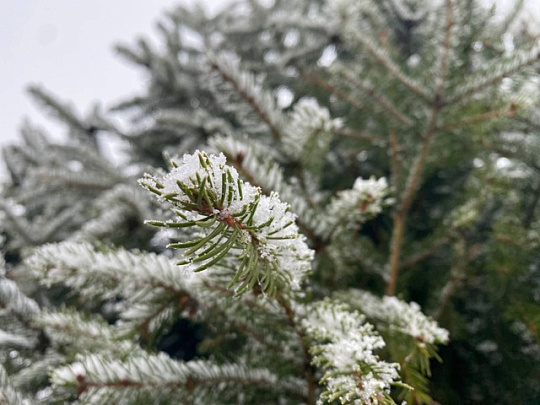 Утверждён календарь праздничных дней в 2026 году