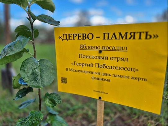 Озёрские и коломенские школьники присоединились к акции &quot;Сад памяти&quot;