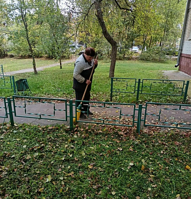 Сотрудники ДГХ собирают и вывозят листья