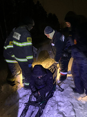  Спасатели вывели из ледяного леса двоих подмосковных жителей  