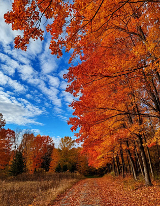В Воскресенске откроют улицу в честь поэта