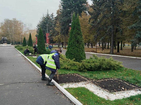 В Коломне высаживают луковицы тюльпанов