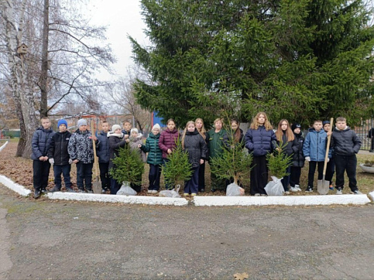Школьники высадили целую аллею деревьев на территории школы