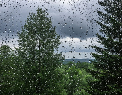 Дождь, грозы и ветер придут в Подмосковье