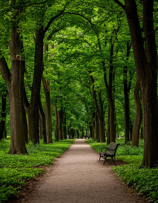 Жители посёлка Хорлово жалуются на бобров, разрушающих деревья