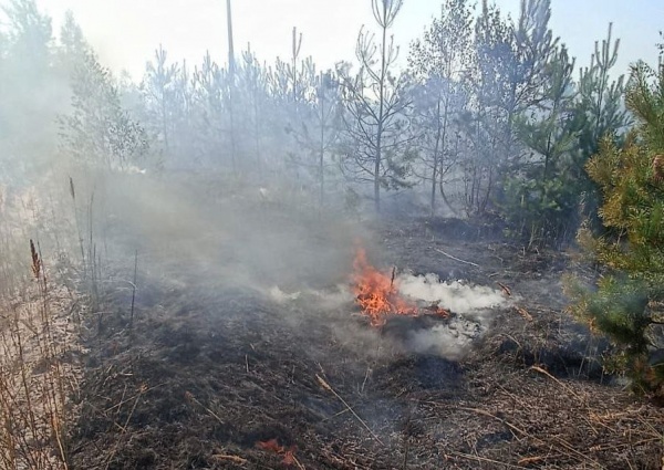 За сентябрь в регионе ликвидировали 42 лесных пожара