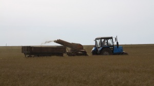 Обширные сельхозугодья в Зарайске отошли Московской области