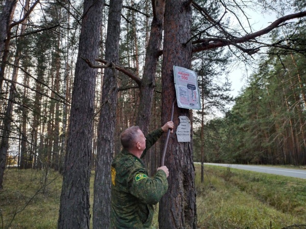В Луховицах очистили лес от рекламы