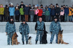 Коломенских школьников на "Уроке мужества" познакомили со служебными собаками