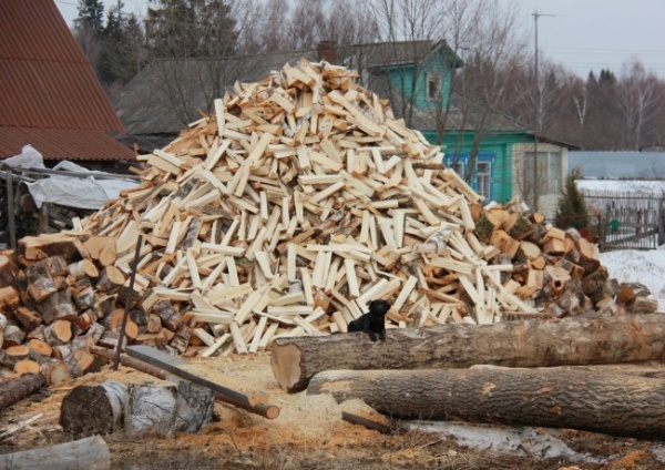 В Подмосковье перестают заготавливать дрова