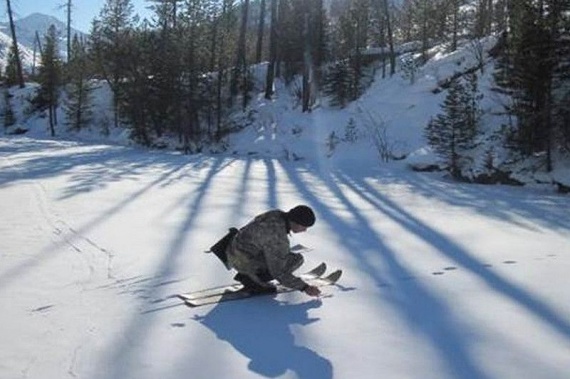 Зимний учёт охотничьих ресурсов начался в Московской области
